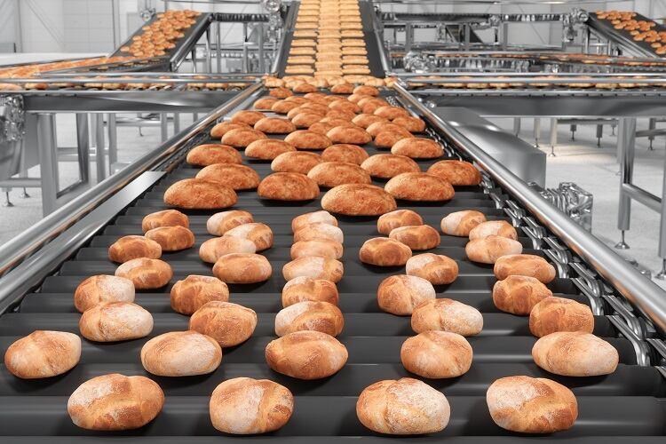 Commercial bakery conveyor line